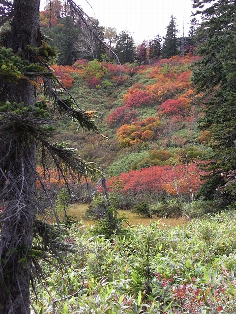 f0157901_10275478.jpg