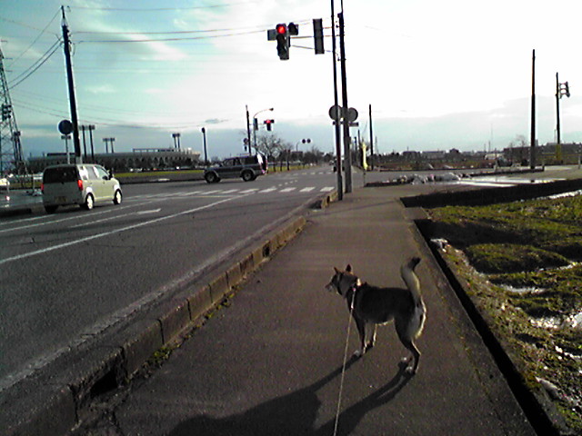 f0079202_15411535.jpg