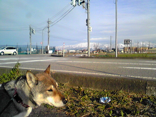 f0079202_15411588.jpg