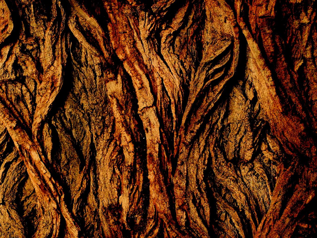a0157704_1631201.jpg