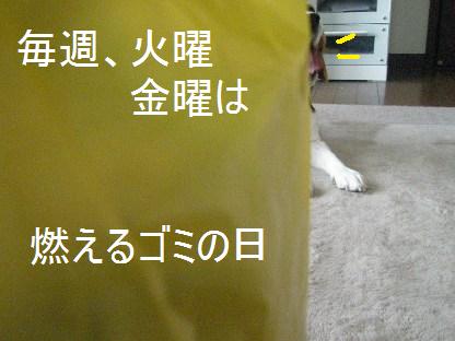 c0205806_1735346.jpg
