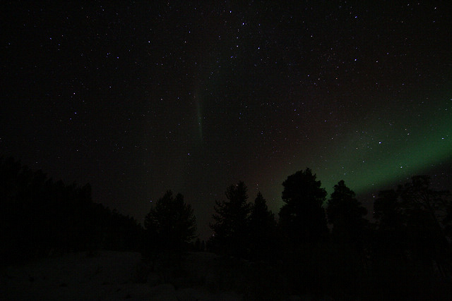 e0168109_16384599.jpg