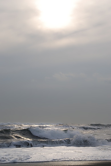 e0005411_9494487.jpg