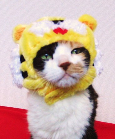 c0201113_20342815.jpg