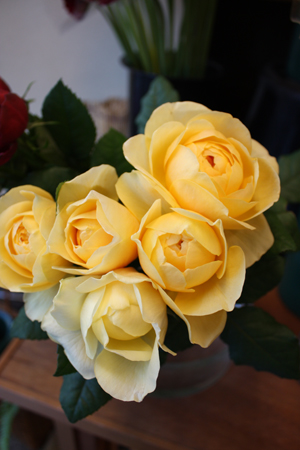 e0141819_7302298.jpg