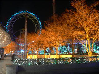 f0106823_1117468.jpg