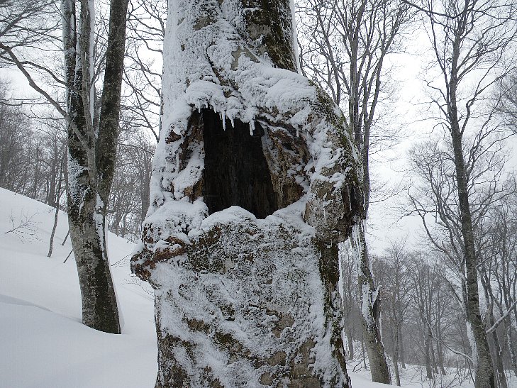f0118332_23302596.jpg