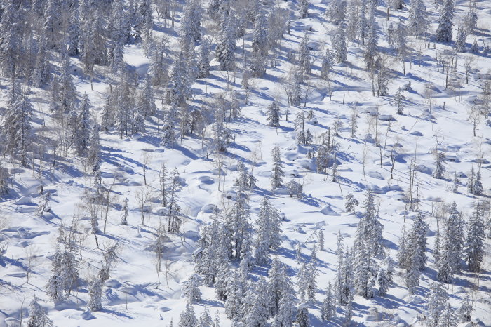 c0189533_1264773.jpg
