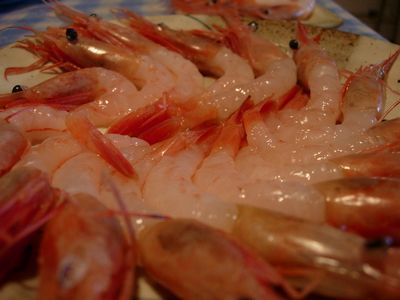 f0200433_237770.jpg