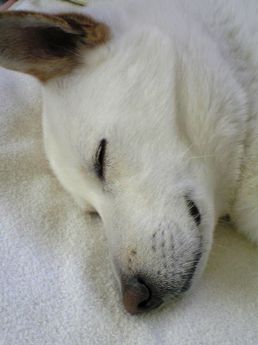 f0199641_1517351.jpg