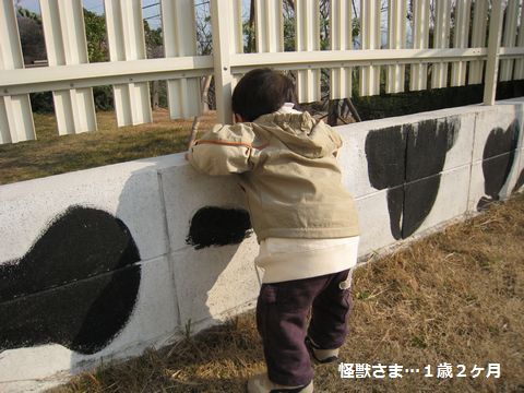a0090451_0554257.jpg