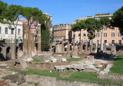 c0206352_7132682.jpg
