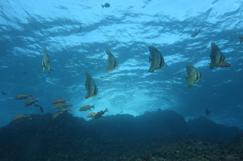 d0021952_017383.jpg