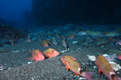 d0021952_025278.jpg