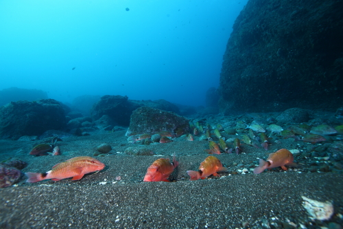 d0021952_074940.jpg