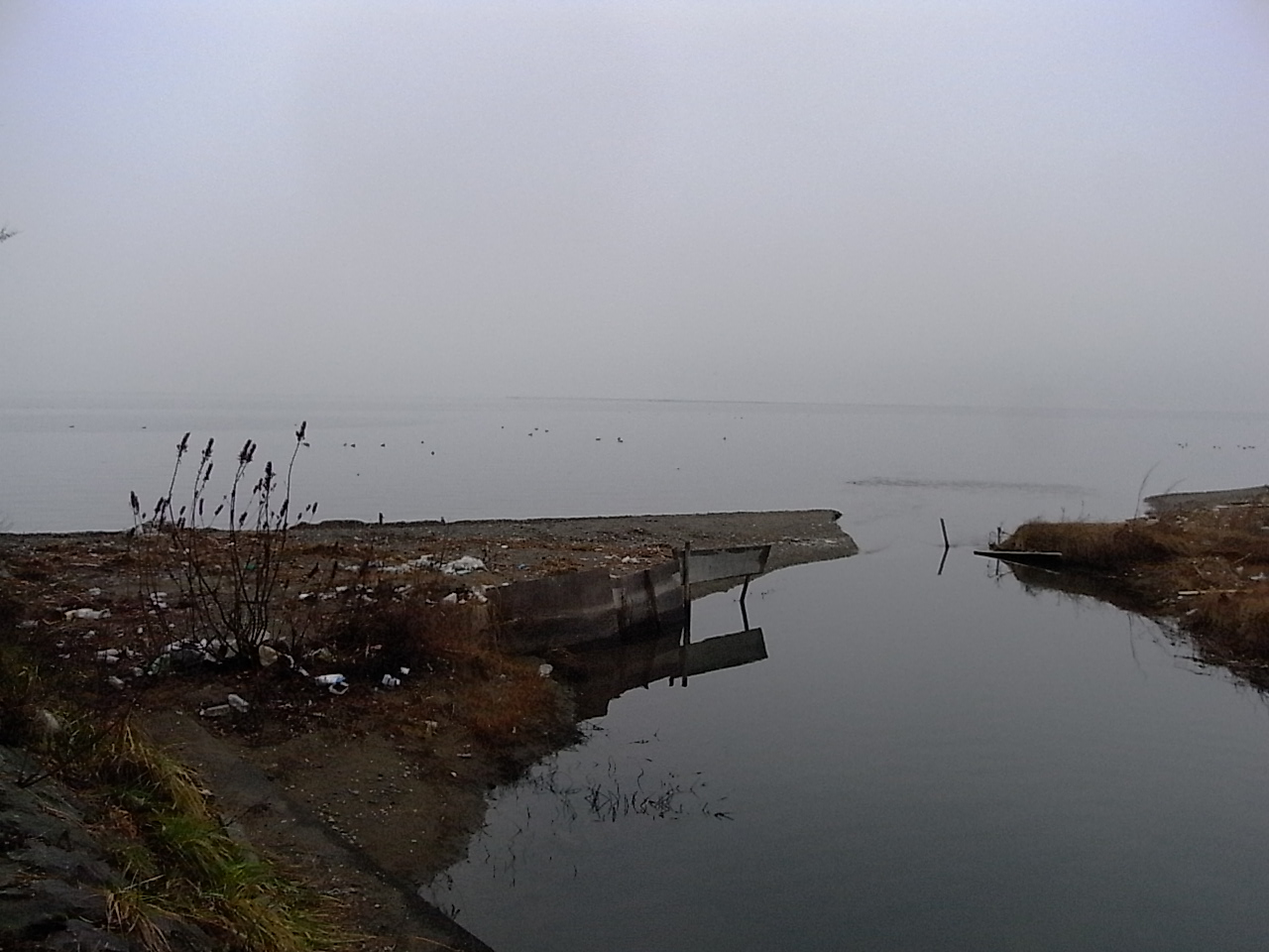 f0178153_15234682.jpg