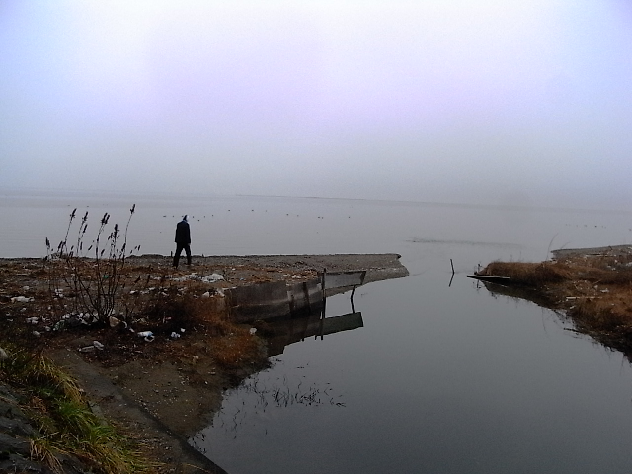 f0178153_15242414.jpg