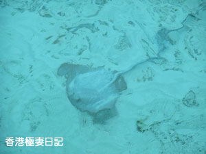 f0190653_9431091.jpg