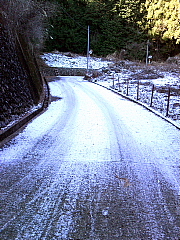 a0157160_024695.jpg