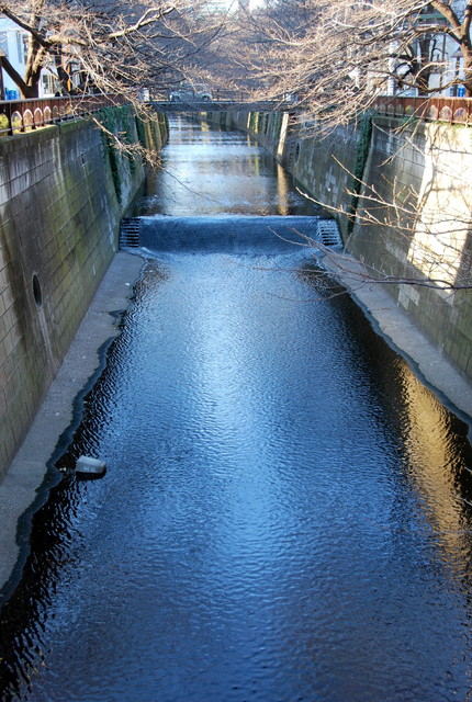 b0174068_22161626.jpg