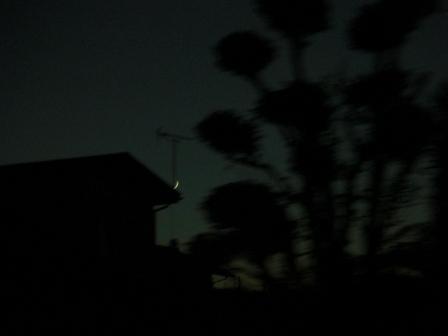c0110074_957871.jpg
