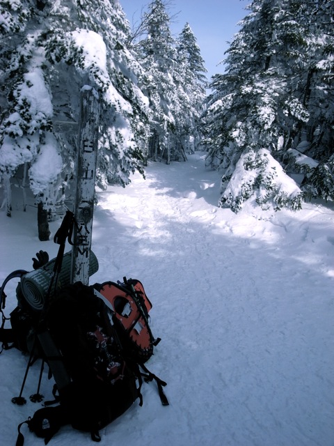e0129083_21125828.jpg
