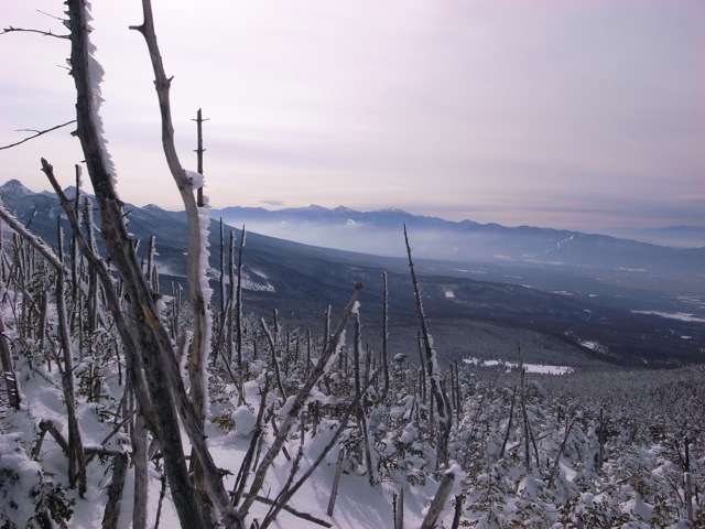 e0129083_21243813.jpg