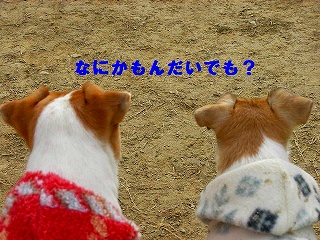 c0214384_16491831.jpg