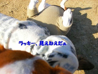 c0214384_1702755.jpg