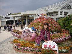 d0017084_913491.jpg