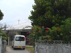 e0111793_1458326.jpg