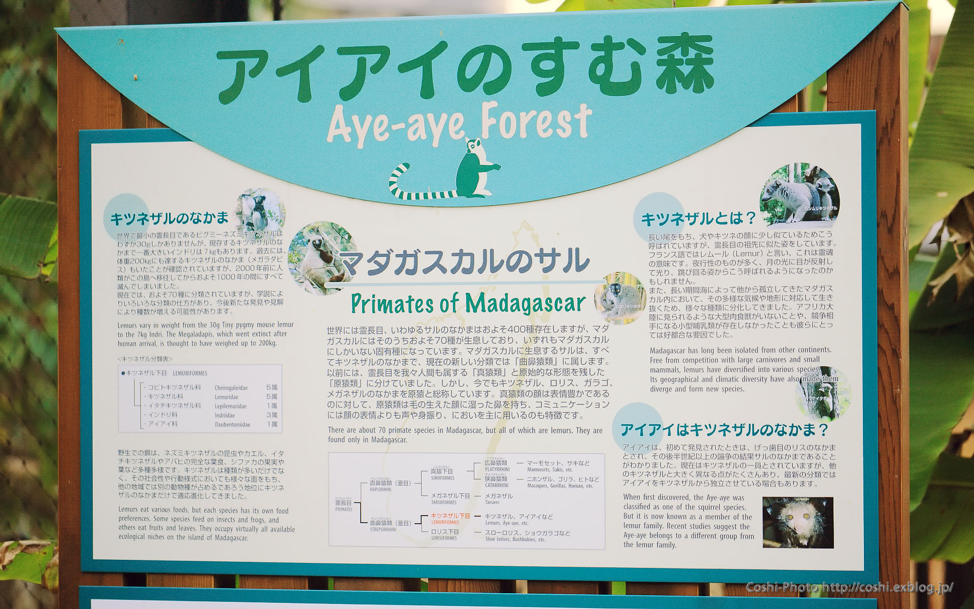a0110096_10313196.jpg