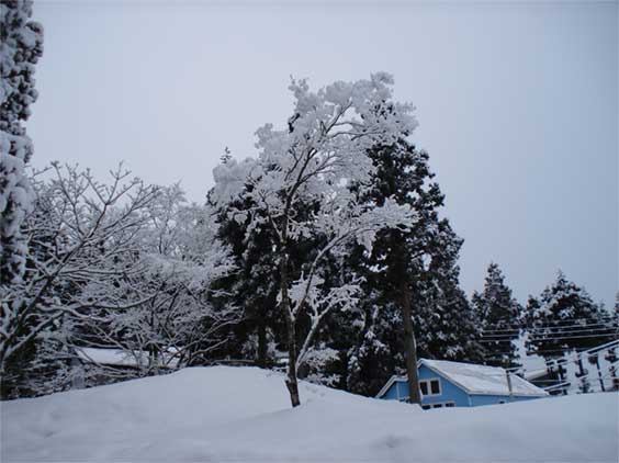 a0061599_7451994.jpg