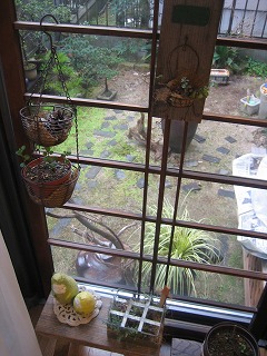 c0196701_2340281.jpg