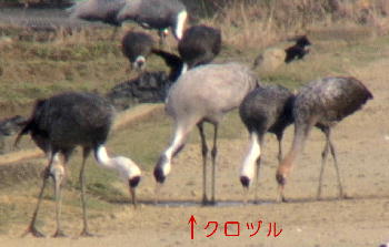 c0059002_224336.jpg