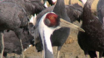 c0059002_291642.jpg