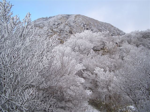 f0187402_20334426.jpg