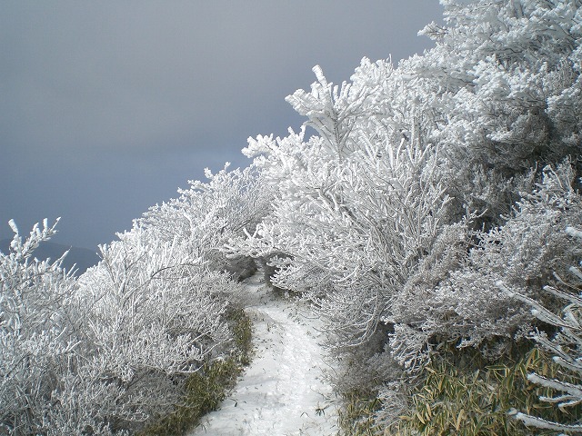 f0187402_20341093.jpg