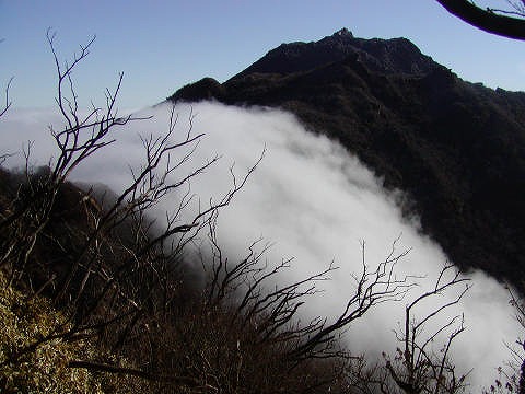 f0187402_20342875.jpg