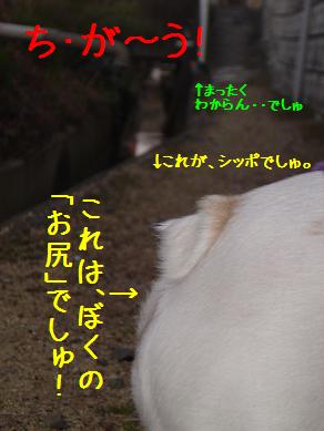 a0158613_10204047.jpg