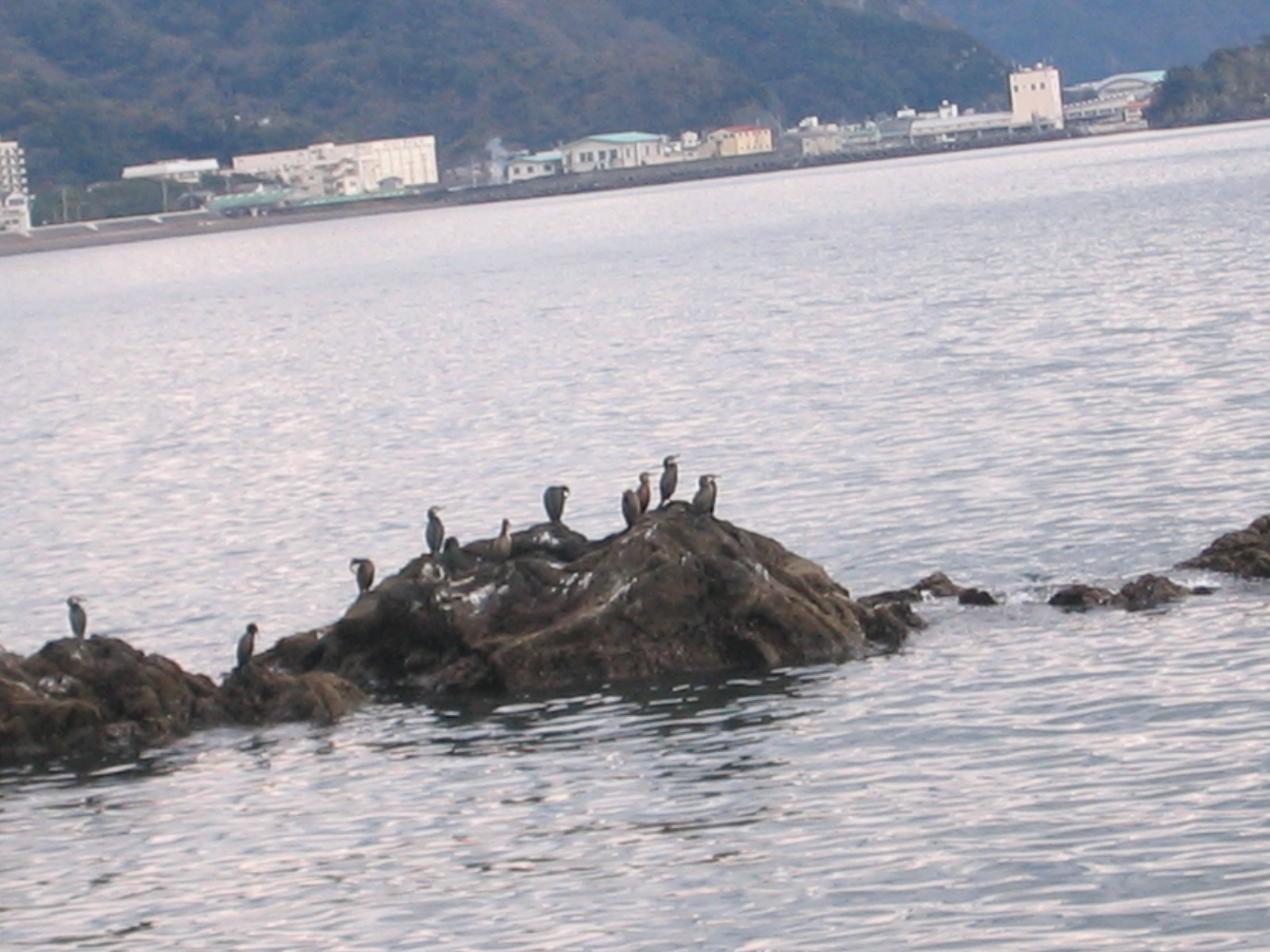 c0219815_22311227.jpg