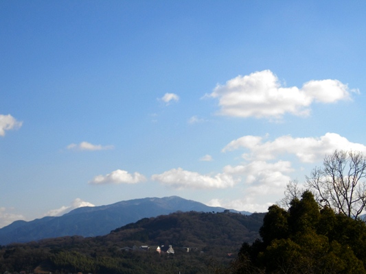 e0119017_2032209.jpg
