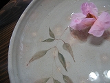 f0139520_16224690.jpg