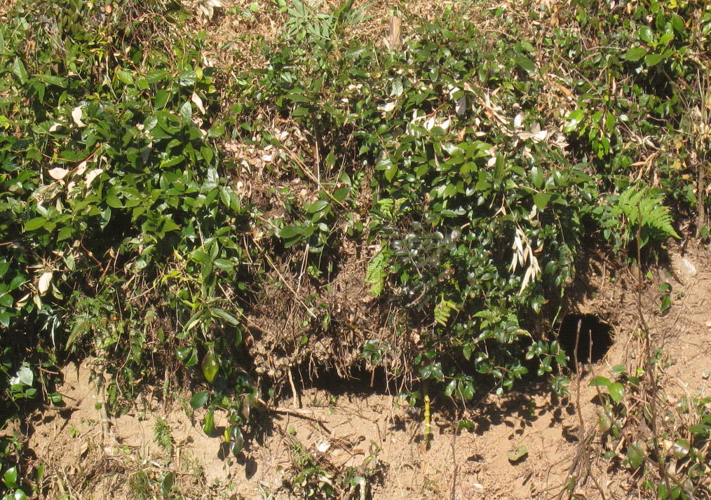 e0107730_2217217.jpg