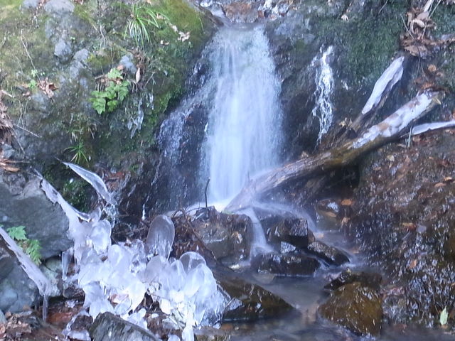c0206431_1348296.jpg