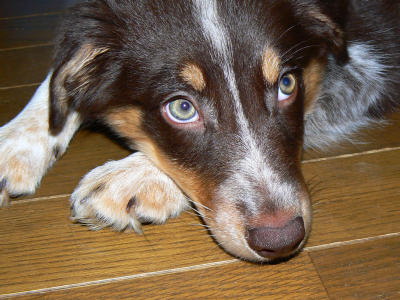 d0077740_13482171.jpg
