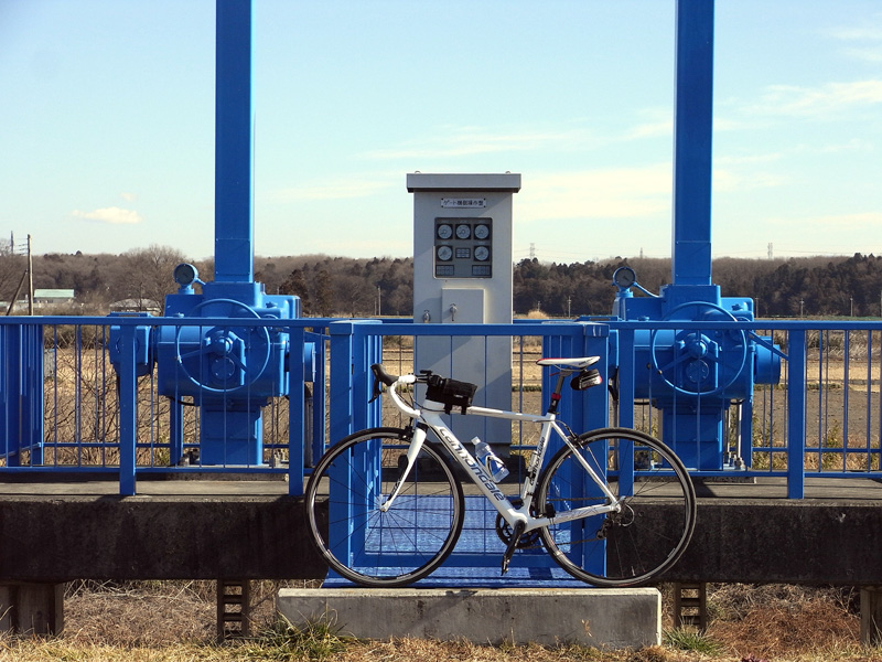 f0184244_21332527.jpg