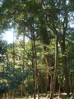 d0025545_1661399.jpg