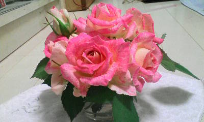 b0001453_13365964.jpg