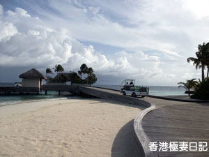 f0190653_1054263.jpg